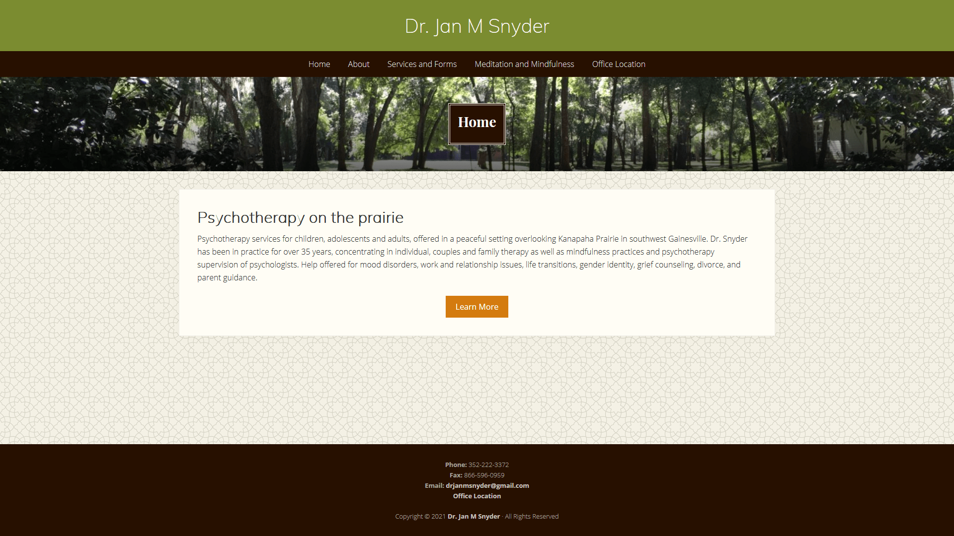 A screenshot of the website for Dr. Jan M. Snyder